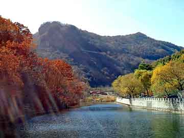 澳门一肖一码一待一中，巫峡棺山